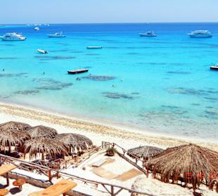 Diese Farben sind echt