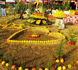 Inspirationen an d.Strandprom.entlang Nov.2010