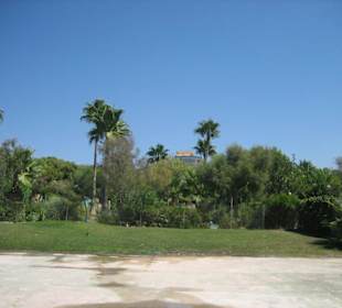 In der Nähe vom Strand