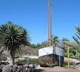 Oasis Park in La Lajita