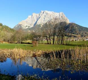 Blick vom Golfplatz auf die Zugspitze