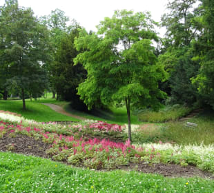 Höhenpark Killesberg