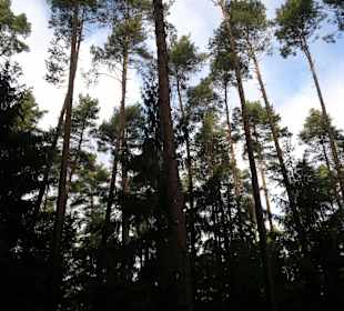 Im Januar mal ohne Betrieb