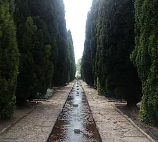 Botanischer Garten Baltschik