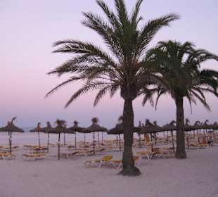 Strandspaziergang am Abend