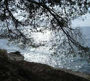 Zelena Laguna
