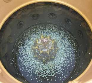 Wat Rong Khun Temple area