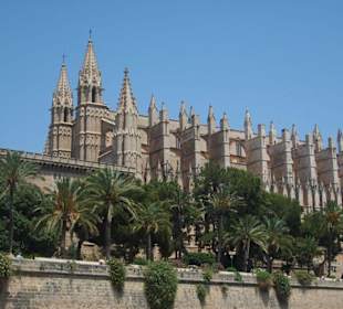 Palma