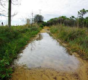 Ende September 2010 Inspirationen