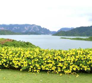 Khao Sok Nationalpark