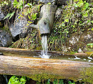 Skigebiet Loferer Almenwelt