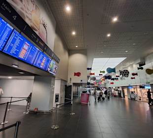 Flughafen Basel Mülhausen Freiburg (EAP)