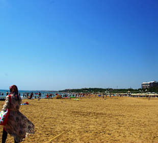 August-Sept. Ansicht