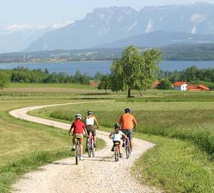 Wandern Waging am See