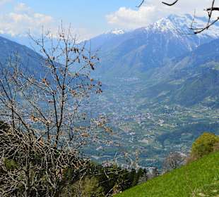 Auf dem Taser Höhenweg