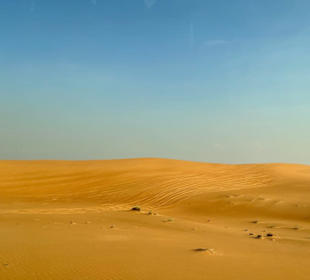 Wunderschöne Wüste 