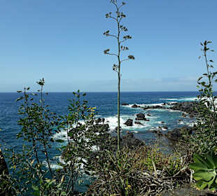 Strandpromenade San Telmo