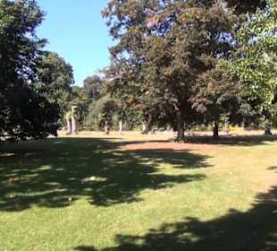 Maulbeerbaum- Allee