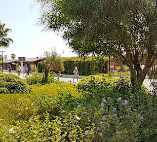 Strandpromenade Evrenseki