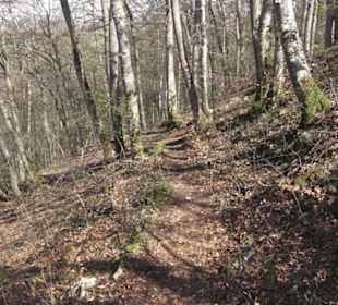 Wanderweg Hochgehkämpft