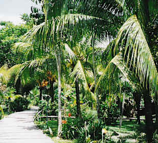 der Weg zu den einzel stehenden Häusern