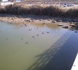 Naturschutzgebiet Salgados