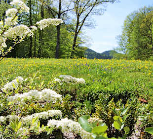 Wandern St. Gallen