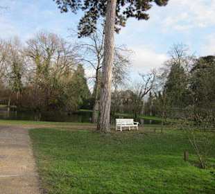 Schlosspark Schwetzingen im Winter