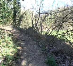 Denkmal für Fürst Friedrich III. von Salm-Kyrburg