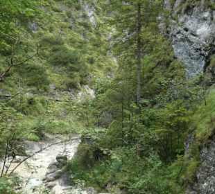 Beeindruckende Wanderung durch die Almbachklamm
