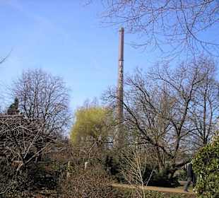 Blick zum benachbarten Bayer Werk