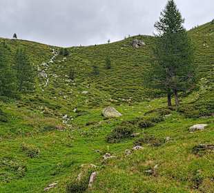 Wandern Falzes / Pfalzen