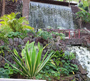 Auf dem Weg in die Stadt