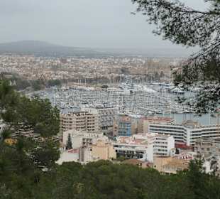 Blick auf Palma vom Castell de Bellver