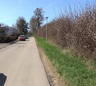 Premiumwanderweg "hochgeblickt"