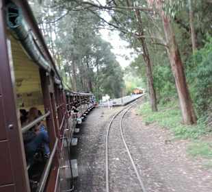Mit der Puffing Billy Dampfbahn unterwegs
