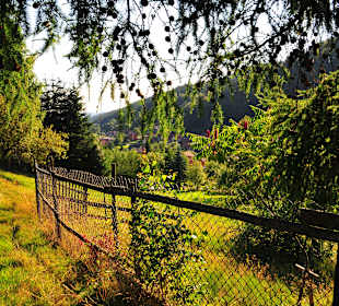 Wandern Schleusegrund