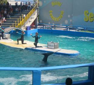 Miami Seaquarium