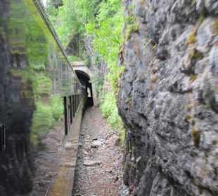 Auf dem Weg zu den Gletschern
