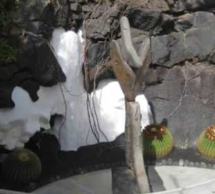 Fundacion Cesar Manrique