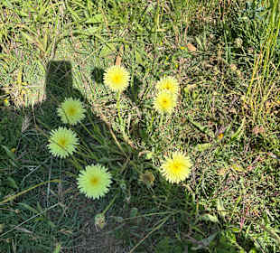 Sonstiges