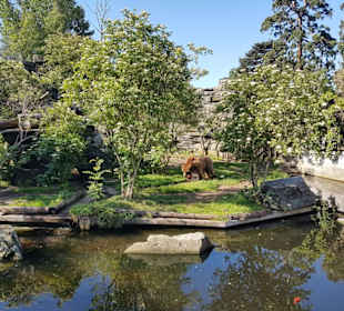 Kölner Zoo 