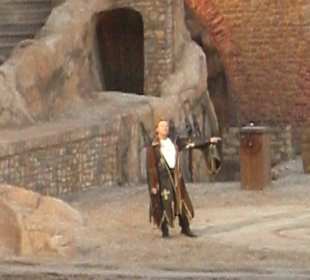 Wolfgang Lippert als Minnesänger