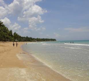 Samana-Las Terrenas Tour