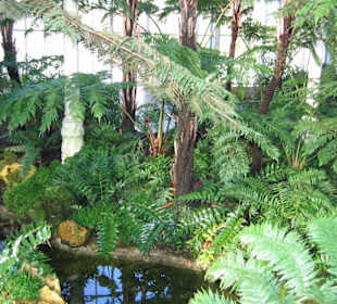 Amazonienhaus