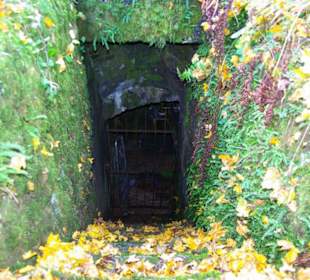 Hier gehts runter zum Widder