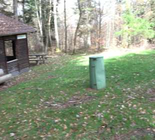 Wellingtonien - Platz mit Mammutbäumen