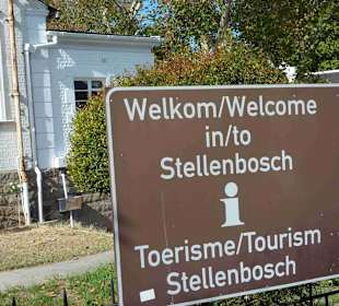 Weingebiet Stellenbosch