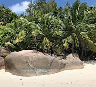 Strand Anse Lazio