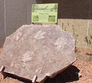 Dinofüße am Visitorcenter Glen Canyon Staudamm